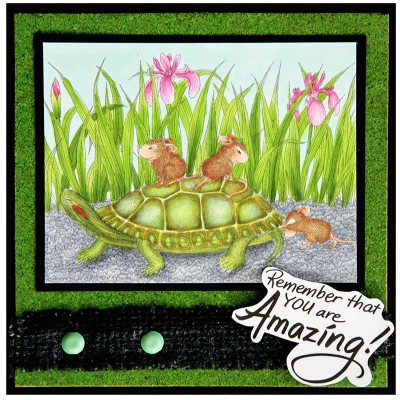 Turtle Ride by Jennie Lin Black