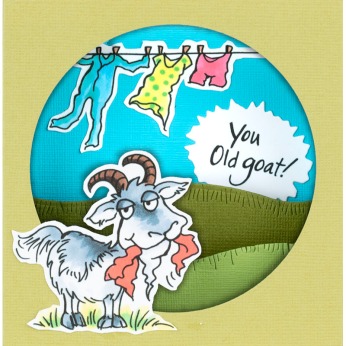 Old Goat WindowRama